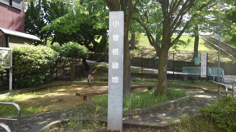 KIMG1211