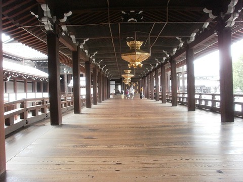 P6030023