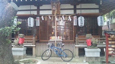 ７月１5日 (8)