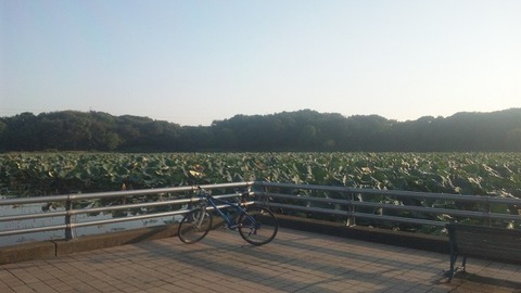 １０月１６日 (2)