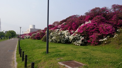 20170501_072701