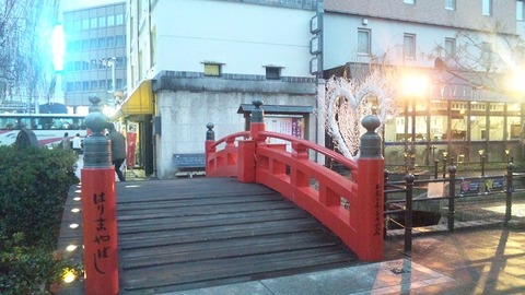 １２月３０日　夜の高知 (5)