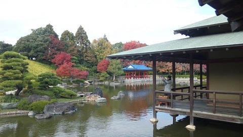 １１月１８日 (3)