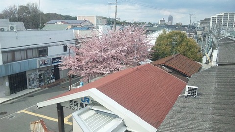 ４月２日 (28)