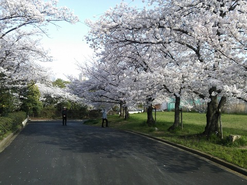 ４月２日 (4)