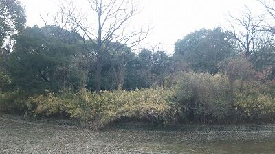 ぐわしょう坊古墳 (1)
