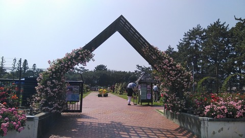 KIMG3965