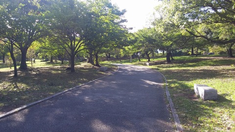 20170918_081051