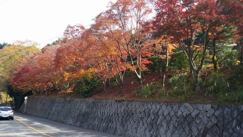 20171117_124736