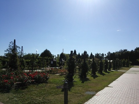 ６月１２日　浜寺公園 (7)