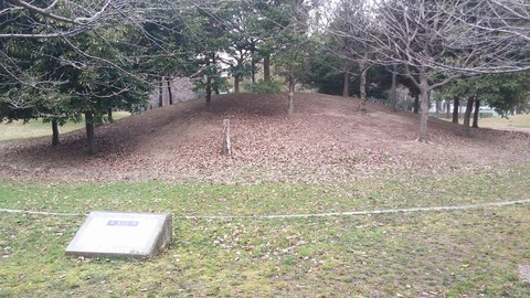 20170306_075945