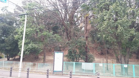 20170306_075456