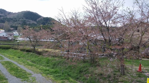 20170418_110254