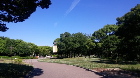 20170606_075040