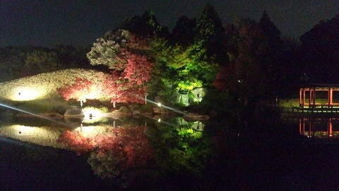 １１月２３日 (16)
