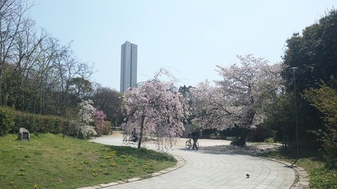 ４月１２日 (6)