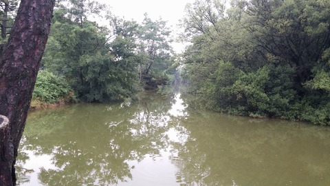 20170625_071843