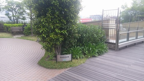 20170421_125229