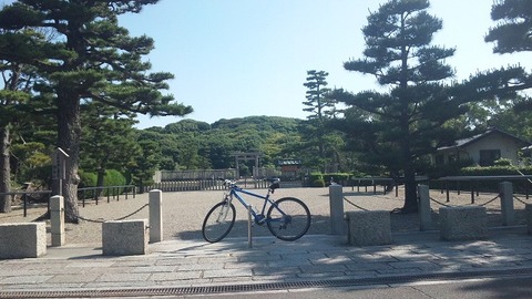 ６月１５日 (11)
