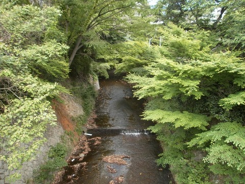P5220021