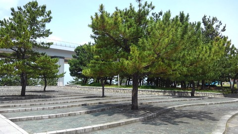 KIMG1651
