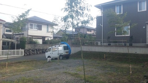 PAP_0001