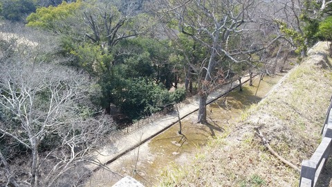 20170330_130446