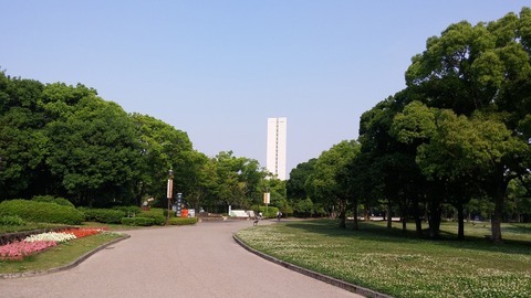 20170530_075110