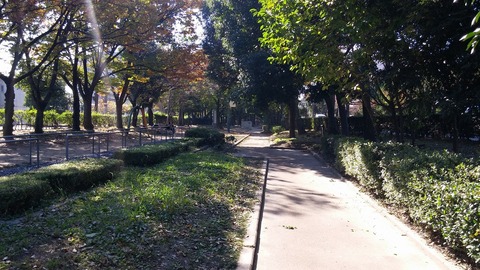 20171106_110308
