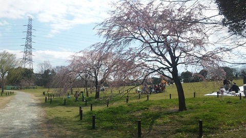 ４月２日 (38)