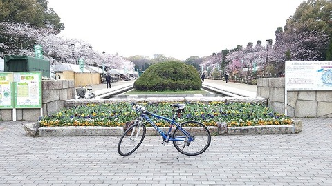 ３月２９日　大阪城まで