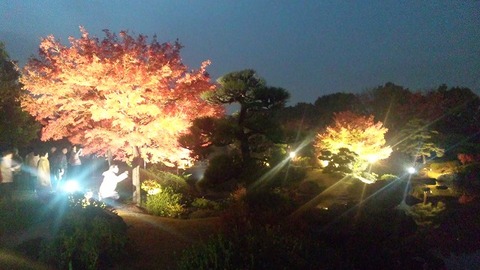 １１月２３日 (6)