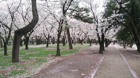 20170412_070933