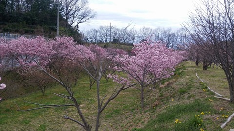 20170406_150620