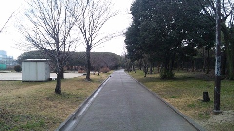 2月13日 (4)
