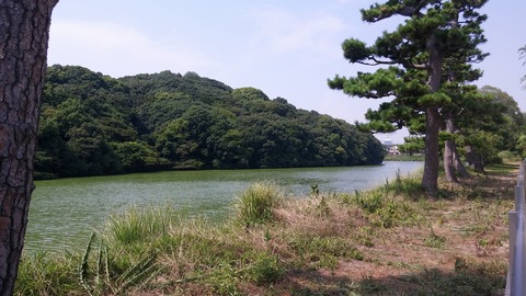 20170731_135952