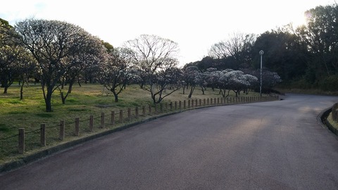 20170308_072746