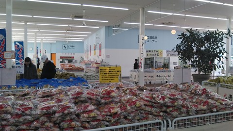 KIMG6963