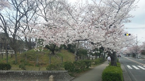 ４月８日 (1)