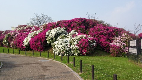 20170501_072616
