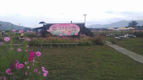 KIMG9953