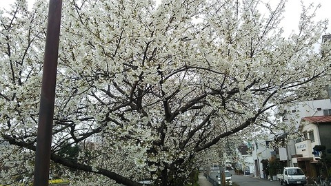月州の川