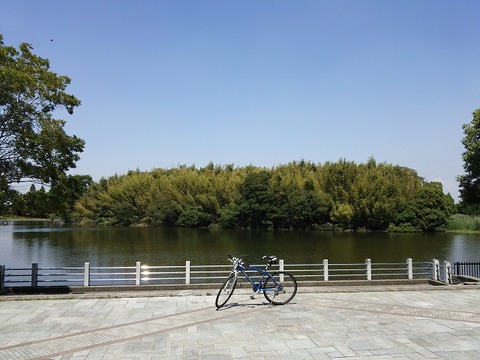 ６月４日　大泉緑地 (7)