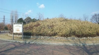 七観音古墳 (2)