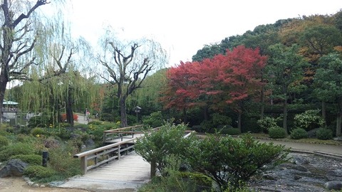 １１月１８日 (21)