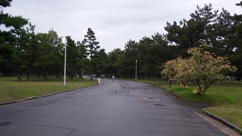 20170725_063655