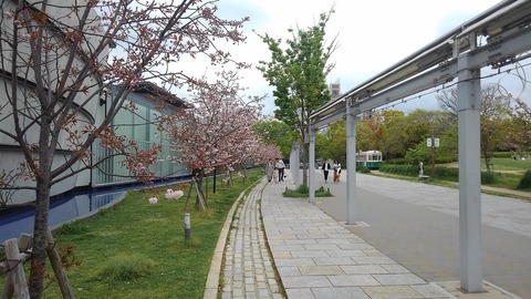 KIMG3794