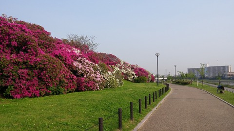 20170501_072729