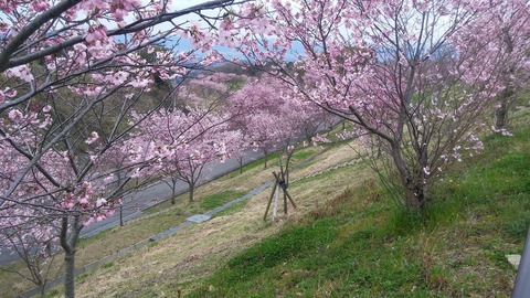 20170406_150252