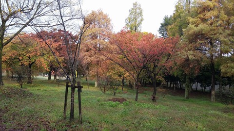 20171115_082445